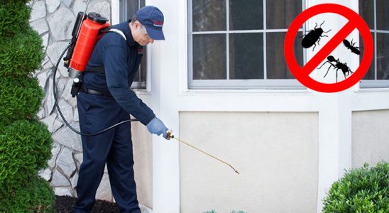 Ulukent Gümüşkurt İlaçlama böcek ilaçlama ve haşere kontrolü — ilaclama-tr.com